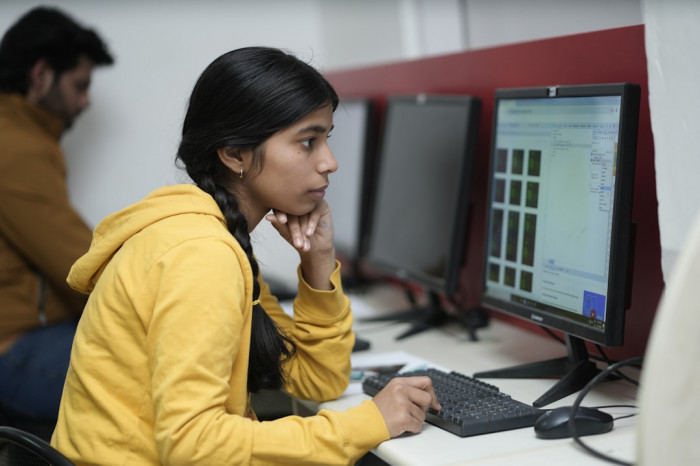5. Sınıf İngilizce Kazanım Testleri